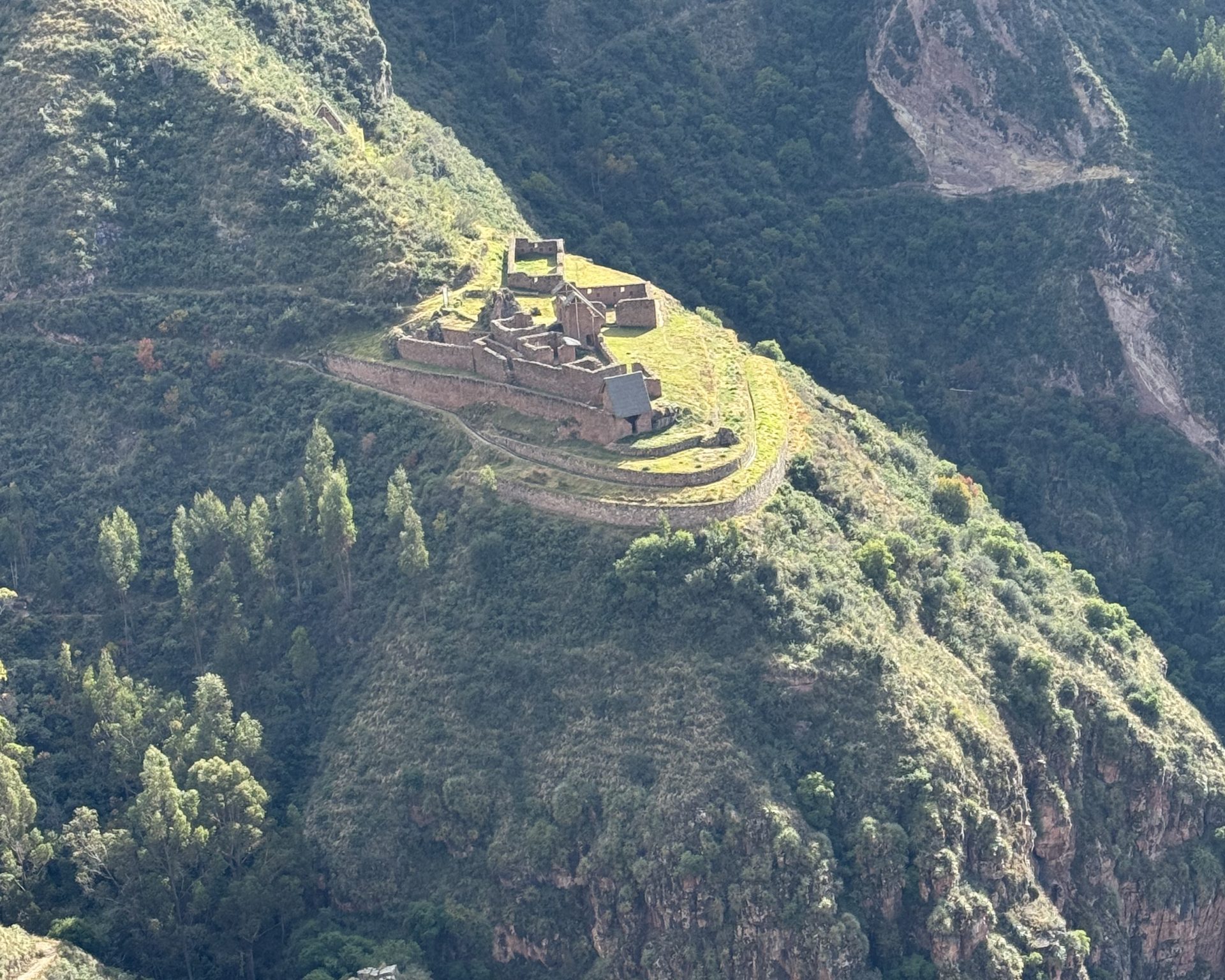 Reforestation in Socma