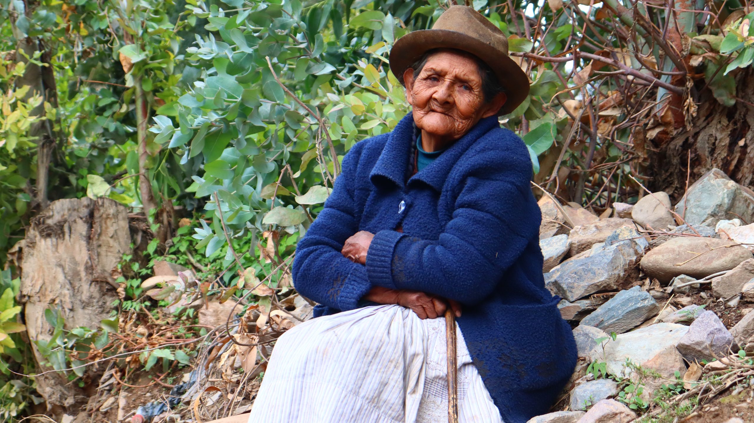 Agricultural Traditions and Lunch