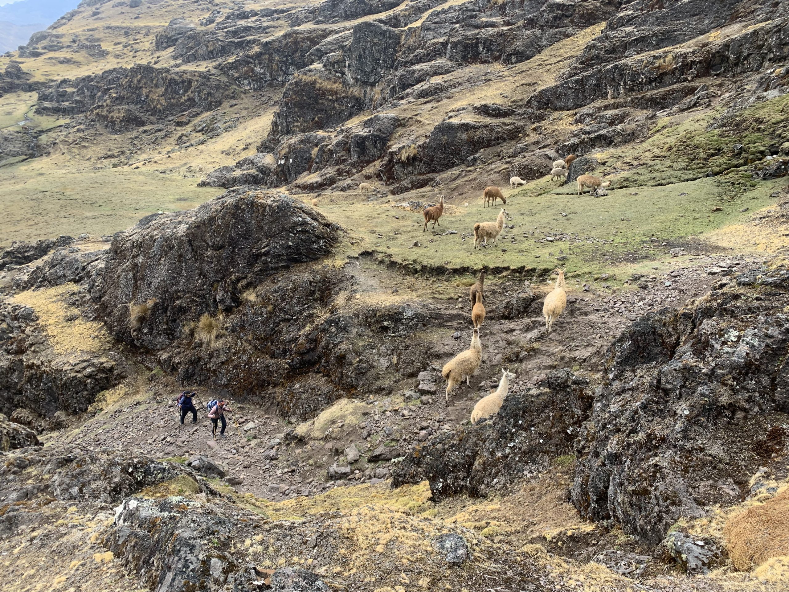 Descent to Ollantaytambo